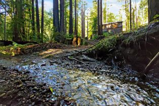 Single Family Residence, Bittner road, Occidental, CA 95465 - 2