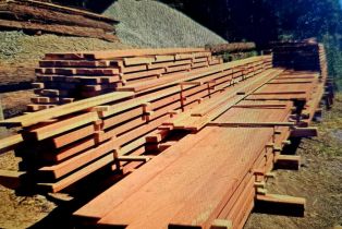 Single Family Residence, Bittner road, Occidental, CA 95465 - 30