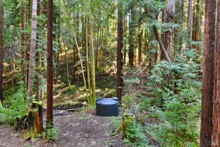 Single Family Residence, Bittner road, Occidental, CA 95465 - 20