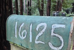 Single Family Residence, Bittner road, Occidental, CA 95465 - 30