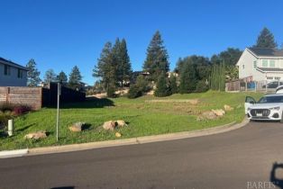 Residential Lot,  Bracken court, Santa Rosa, CA 95403 - 4