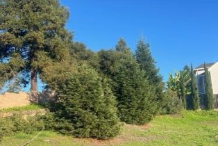 Residential Lot,  Bracken court, Santa Rosa, CA 95403 - 21