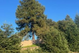 Residential Lot,  Bracken court, Santa Rosa, CA 95403 - 22