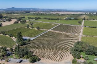 Agriculture,  River road, Windsor, CA 95492 - 8
