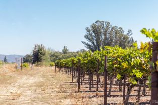 Agriculture,  River road, Windsor, CA 95492 - 4