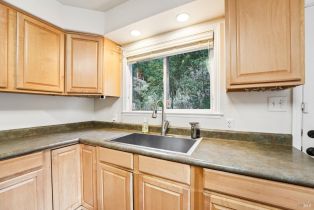Single Family Residence,  Monte Rosa avenue, Russian River, CA 95446 - 11