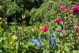 Single Family Residence, Deer lane, Sebastopol, CA 95472 - 45