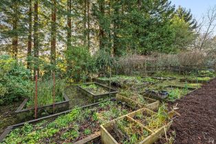 Single Family Residence, Deer lane, Sebastopol, CA 95472 - 41