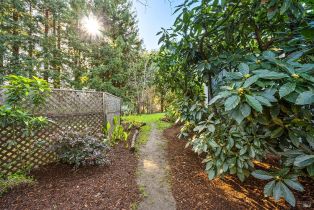 Single Family Residence, Deer lane, Sebastopol, CA 95472 - 40