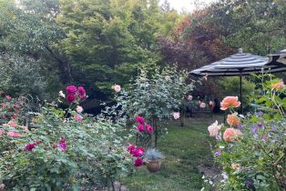 Single Family Residence, Deer lane, Sebastopol, CA 95472 - 51