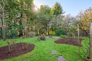 Single Family Residence, Deer lane, Sebastopol, CA 95472 - 36