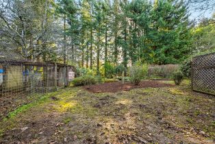 Single Family Residence, Deer lane, Sebastopol, CA 95472 - 43