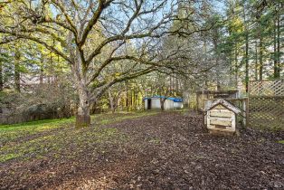 Single Family Residence, Deer lane, Sebastopol, CA 95472 - 60