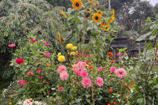 Single Family Residence, Deer lane, Sebastopol, CA 95472 - 53