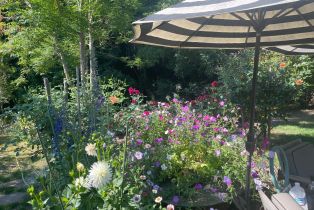 Single Family Residence, Deer lane, Sebastopol, CA 95472 - 48