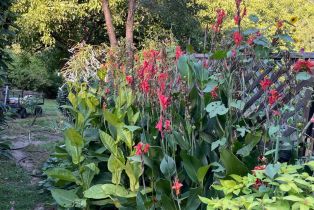 Single Family Residence, Deer lane, Sebastopol, CA 95472 - 52