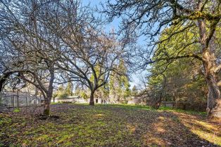 Single Family Residence, Deer lane, Sebastopol, CA 95472 - 58