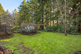 Single Family Residence, Deer lane, Sebastopol, CA 95472 - 42