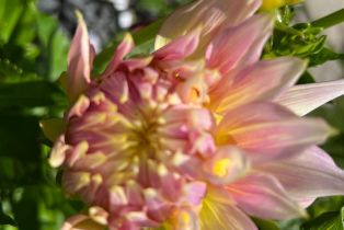 Single Family Residence, Deer lane, Sebastopol, CA 95472 - 44