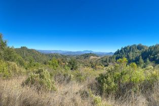 2 Houses on Lot, Brack road, Healdsburg, CA 95448 - 26