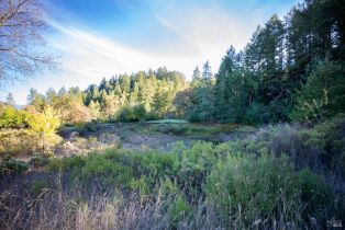 2 Houses on Lot, Brack road, Healdsburg, CA 95448 - 22