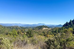 2 Houses on Lot, Brack road, Healdsburg, CA 95448 - 25