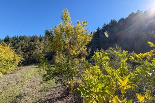 2 Houses on Lot, Brack road, Healdsburg, CA 95448 - 30