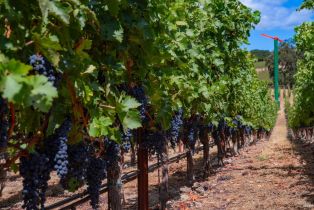 Single Family Residence,  3rd avenue, Napa, CA 94558 - 5