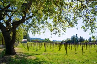 Single Family Residence,  3rd avenue, Napa, CA 94558 - 27