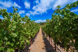 Single Family Residence,  3rd avenue, Napa, CA 94558 - 18