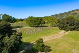 Single Family Residence,  3rd avenue, Napa, CA 94558 - 25