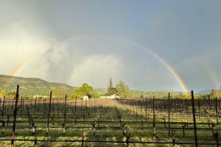 Single Family Residence,  3rd avenue, Napa, CA 94558 - 29