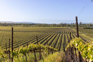 Single Family Residence,  Woolsey road, Windsor, CA 95492 - 43