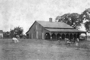 Single Family Residence,  Woolsey road, Windsor, CA 95492 - 58