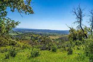 Residential Acreage,  Soda Canyon road, Napa, CA 94558 - 22