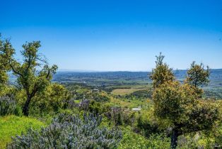 Residential Acreage,  Soda Canyon road, Napa, CA 94558 - 19