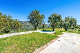 Residential Acreage,  Soda Canyon road, Napa, CA 94558 - 21