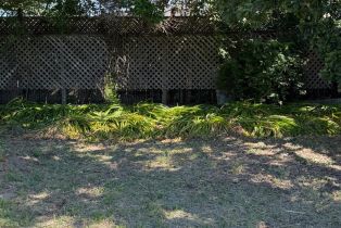 Single Family Residence, Marsh road, Santa Rosa, CA 95403 - 22