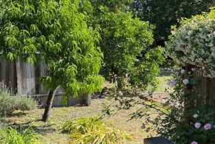 Single Family Residence, Marsh road, Santa Rosa, CA 95403 - 18