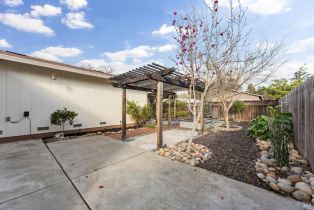 Single Family Residence,  Mulberry avenue, Sonoma, CA 95476 - 42