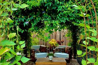 Single Family Residence,  Mulberry avenue, Sonoma, CA 95476 - 39