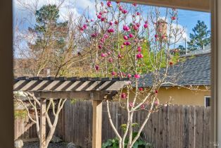 Single Family Residence,  Mulberry avenue, Sonoma, CA 95476 - 15
