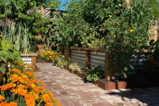 Single Family Residence,  Mulberry avenue, Sonoma, CA 95476 - 50