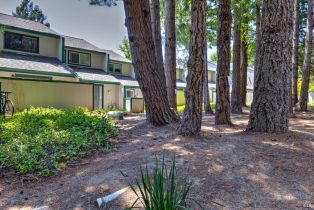 Townhouse,  Norlee street, Sebastopol, CA 95472 - 22