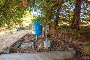 Residential Acreage,  Ferguson road, Sebastopol, CA 95472 - 8