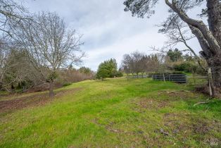 Residential Acreage,  Ferguson road, Sebastopol, CA 95472 - 15