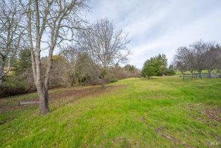 Land, 790 Ferguson Rd, Sebastopol, CA  Sebastopol, CA 95472