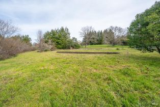 Residential Acreage,  Ferguson road, Sebastopol, CA 95472 - 3