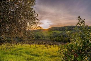 2 Houses on Lot, Rachael road, Sonoma, CA 95476 - 74