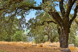 Single Family Residence, Pine Mountain road, Cloverdale, CA 95425 - 59